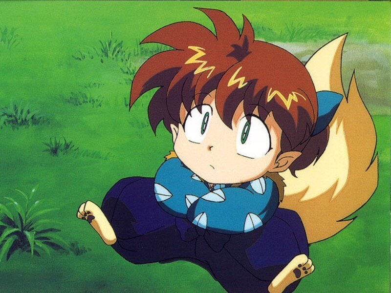 Young fox demon in a field