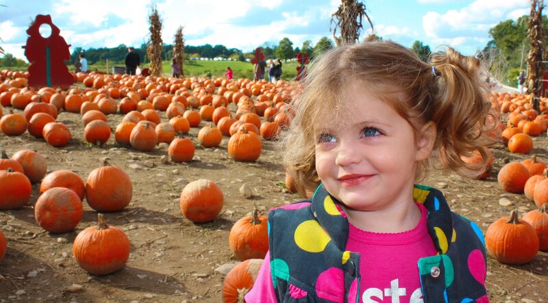 Young Girl in Pumpkin Patch