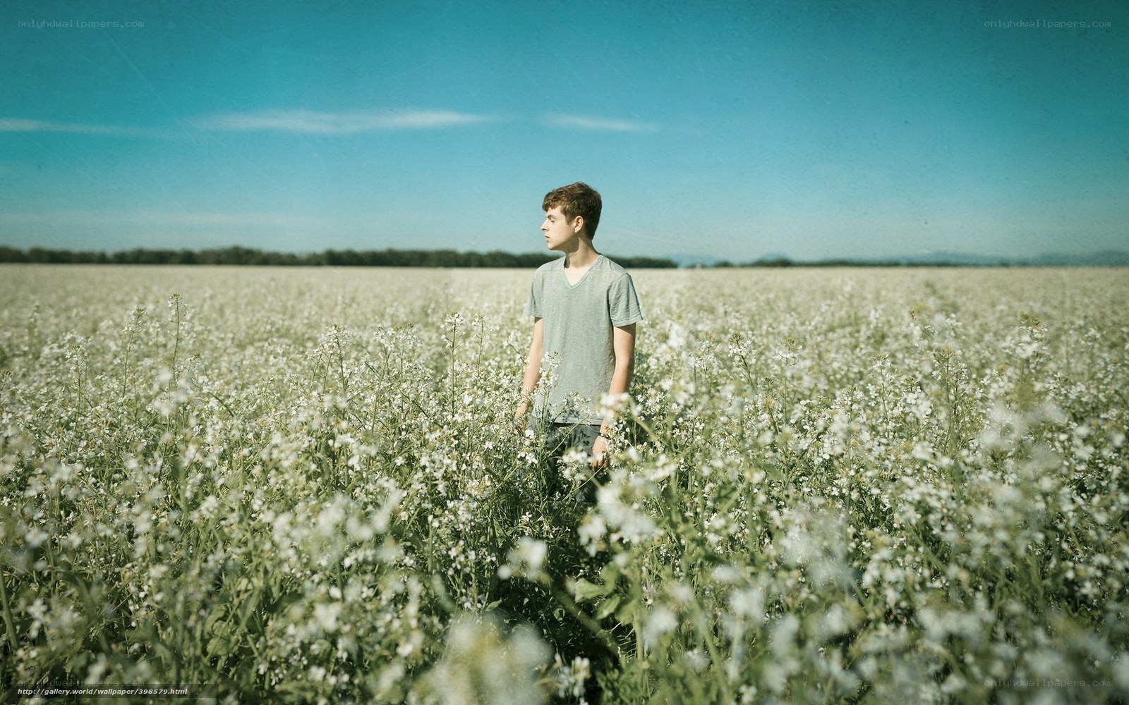 Young man in a flower field
