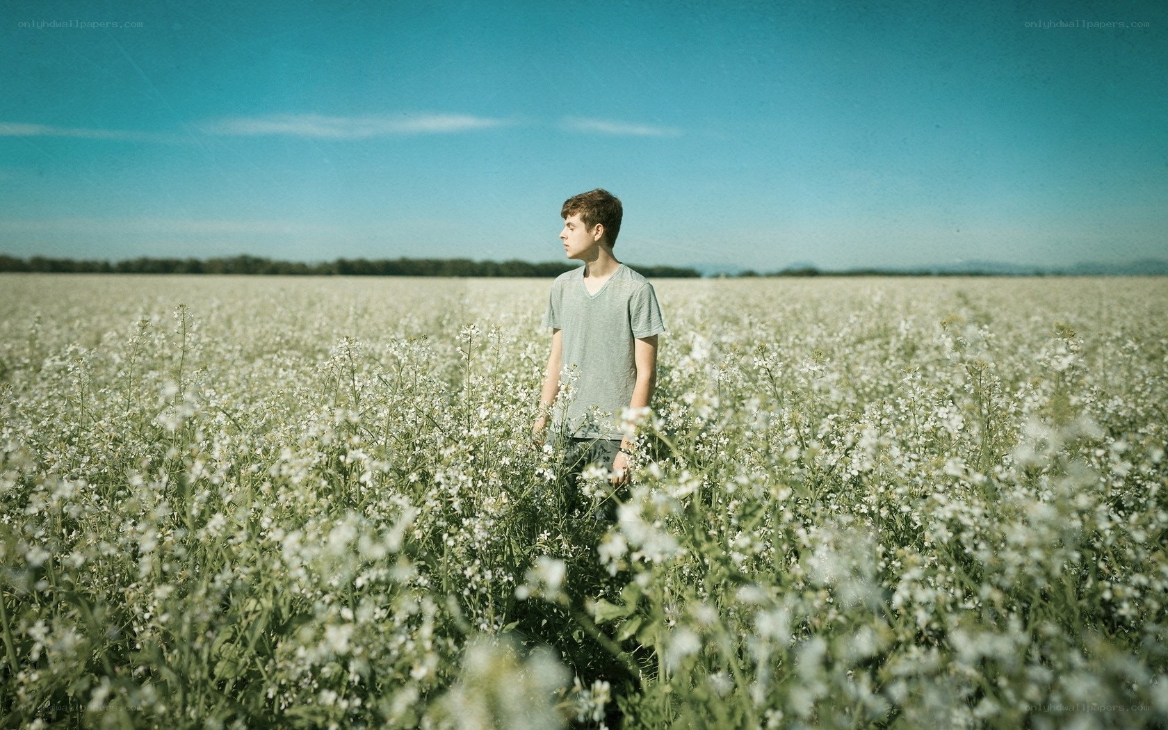 Young man in a flower field
