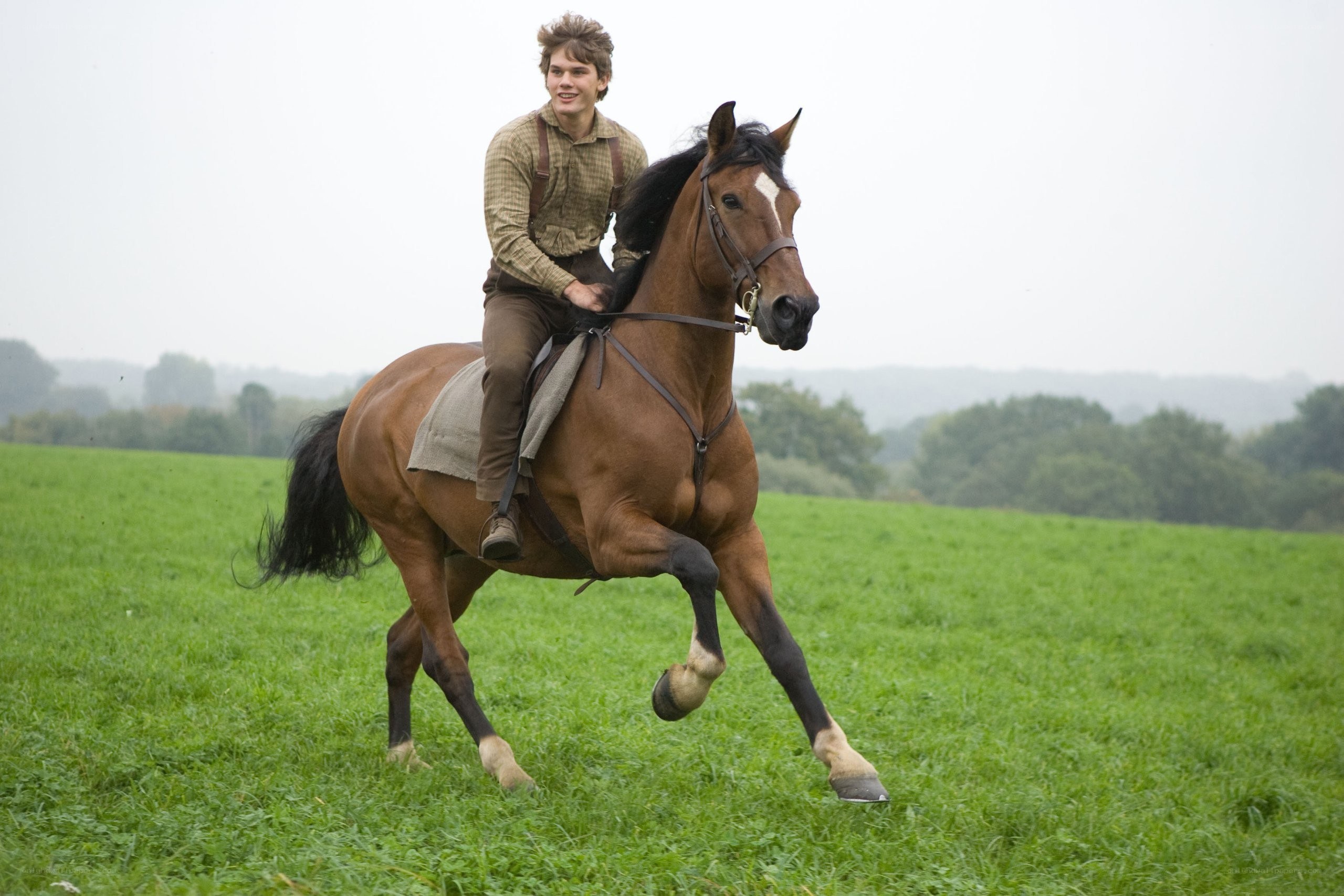 Young man riding a horse