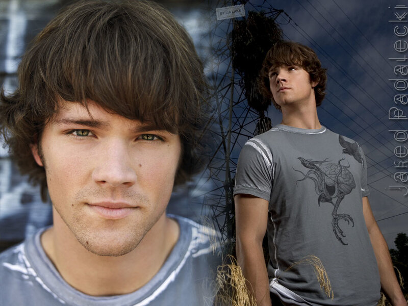 Young Man with Brown Hair — Gray