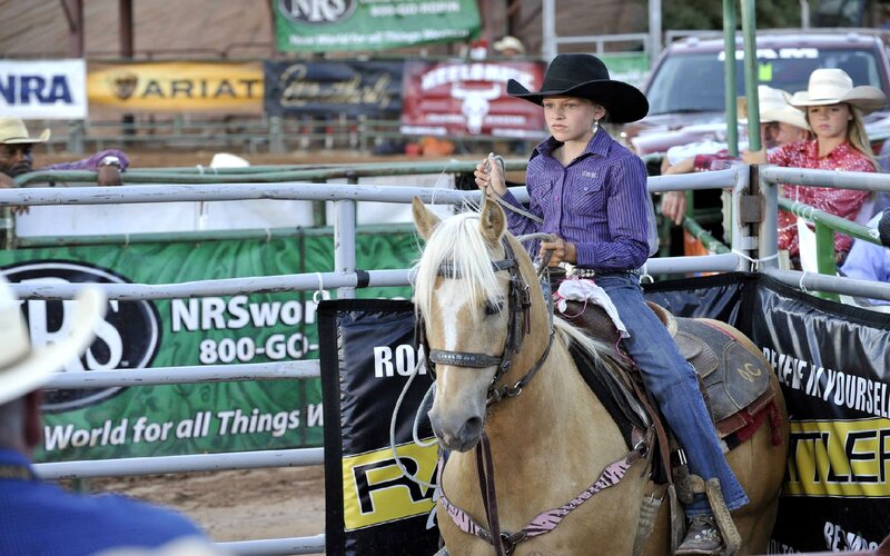 Young Rider on Horse — Brown