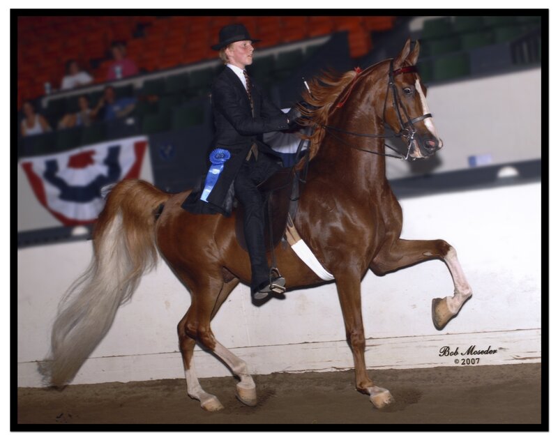 Young Rider on Horse