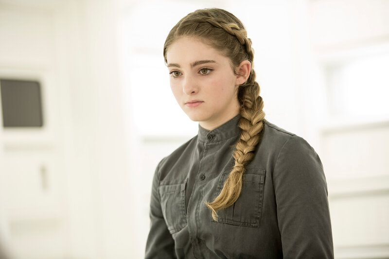 Young Woman with Braid — Gray