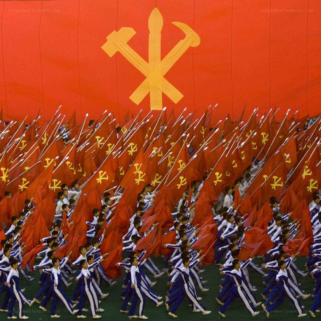 Youth parade with flags