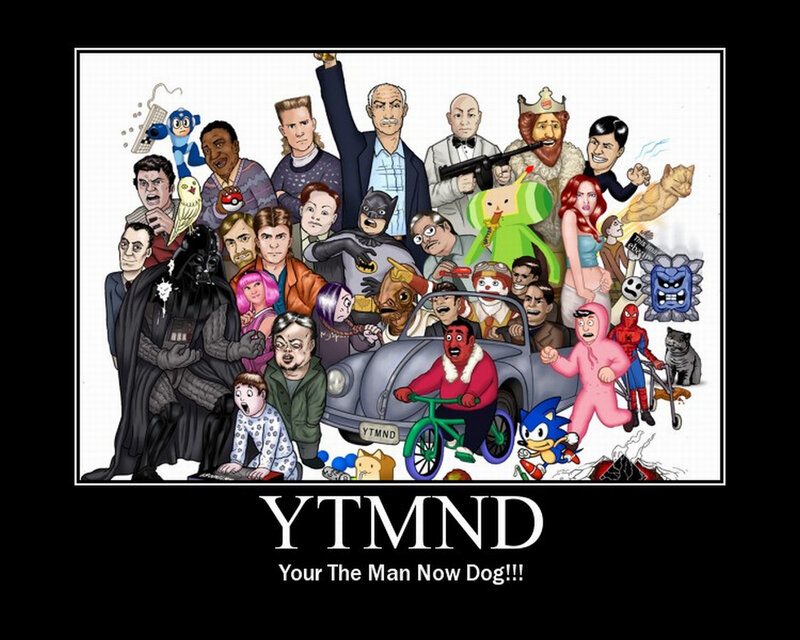 YTMDN meme collage