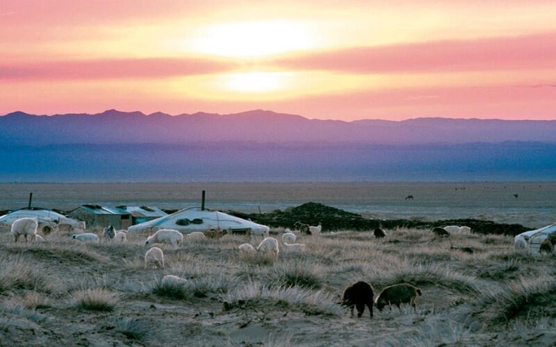 Yurt camp at sunset