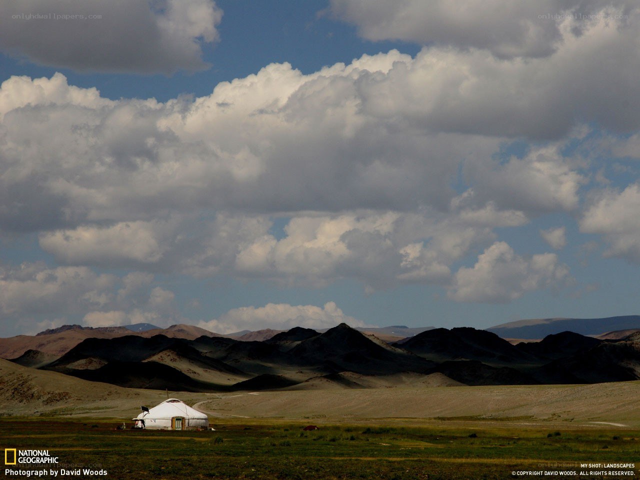 Yurt in Mongolian steppe