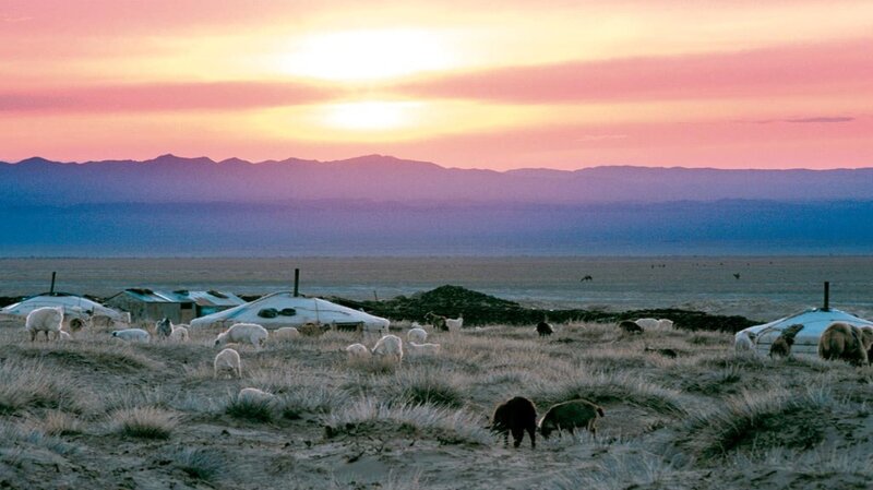 Yurts and Sheep at Sunset
