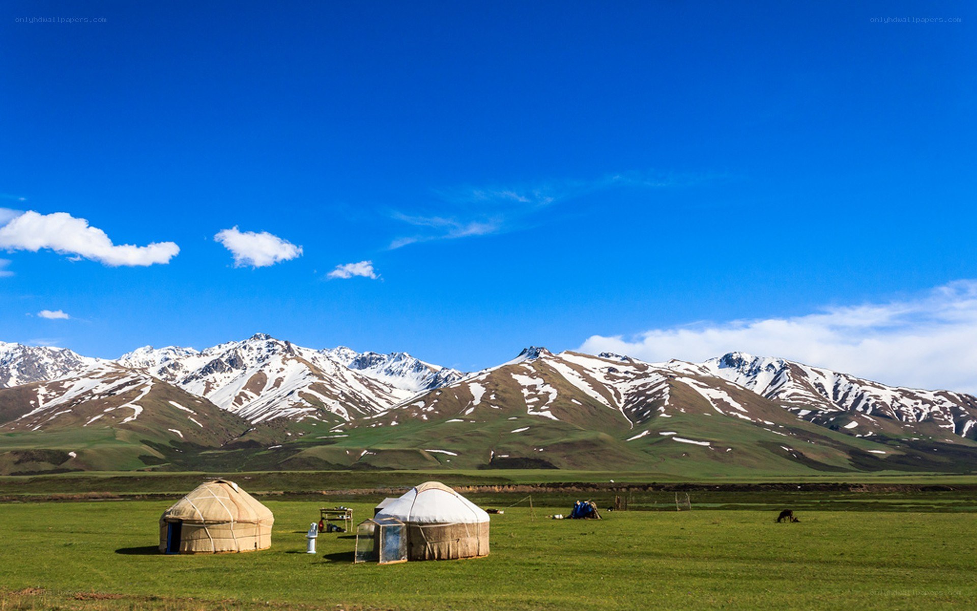 Yurts in a mountain valley