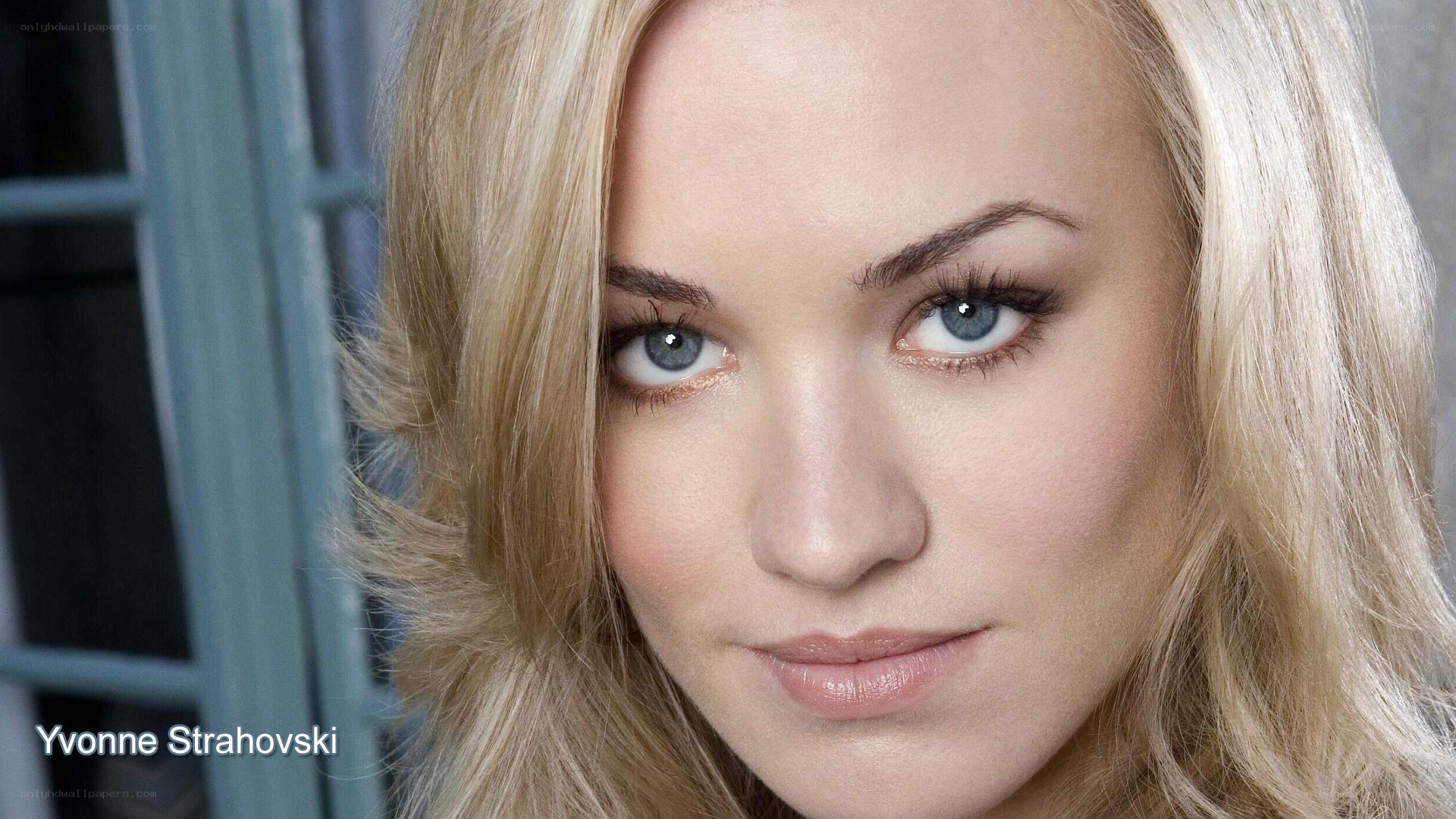 Yvonne Strahovski portrait