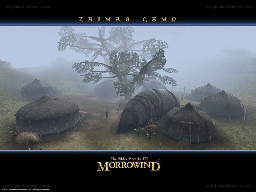 Zainab Camp in Morrowind