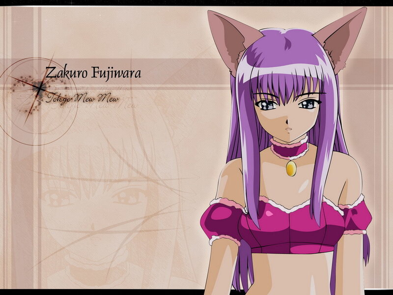 Zakuro Fujinowa from Tokyo Mew Mew