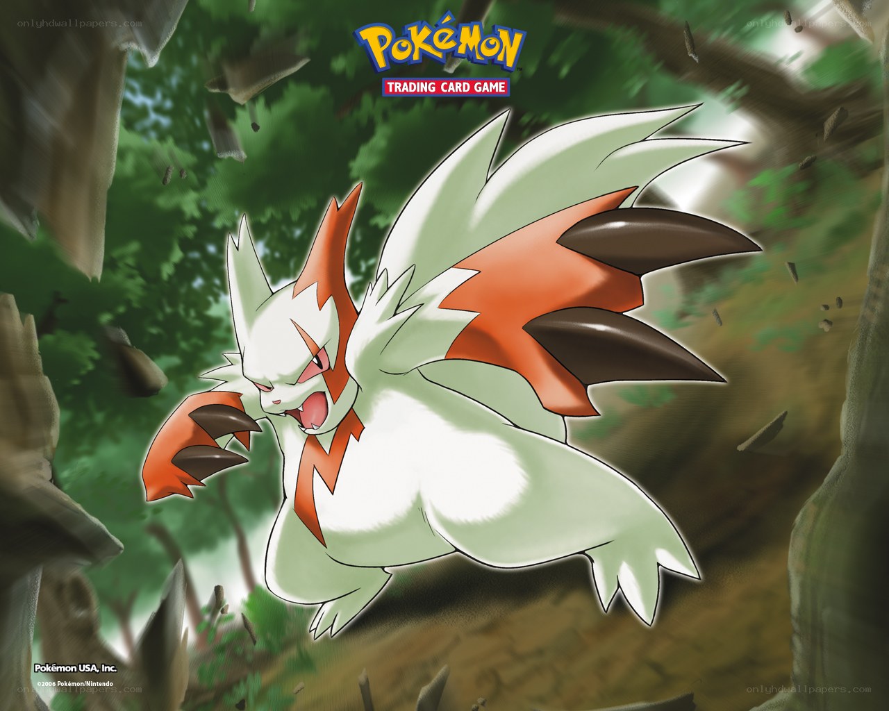 Zangoose in a forest