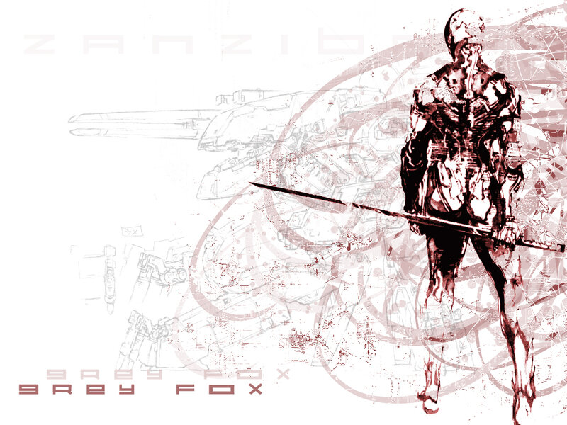 Zanzibar Grey Fox artwork