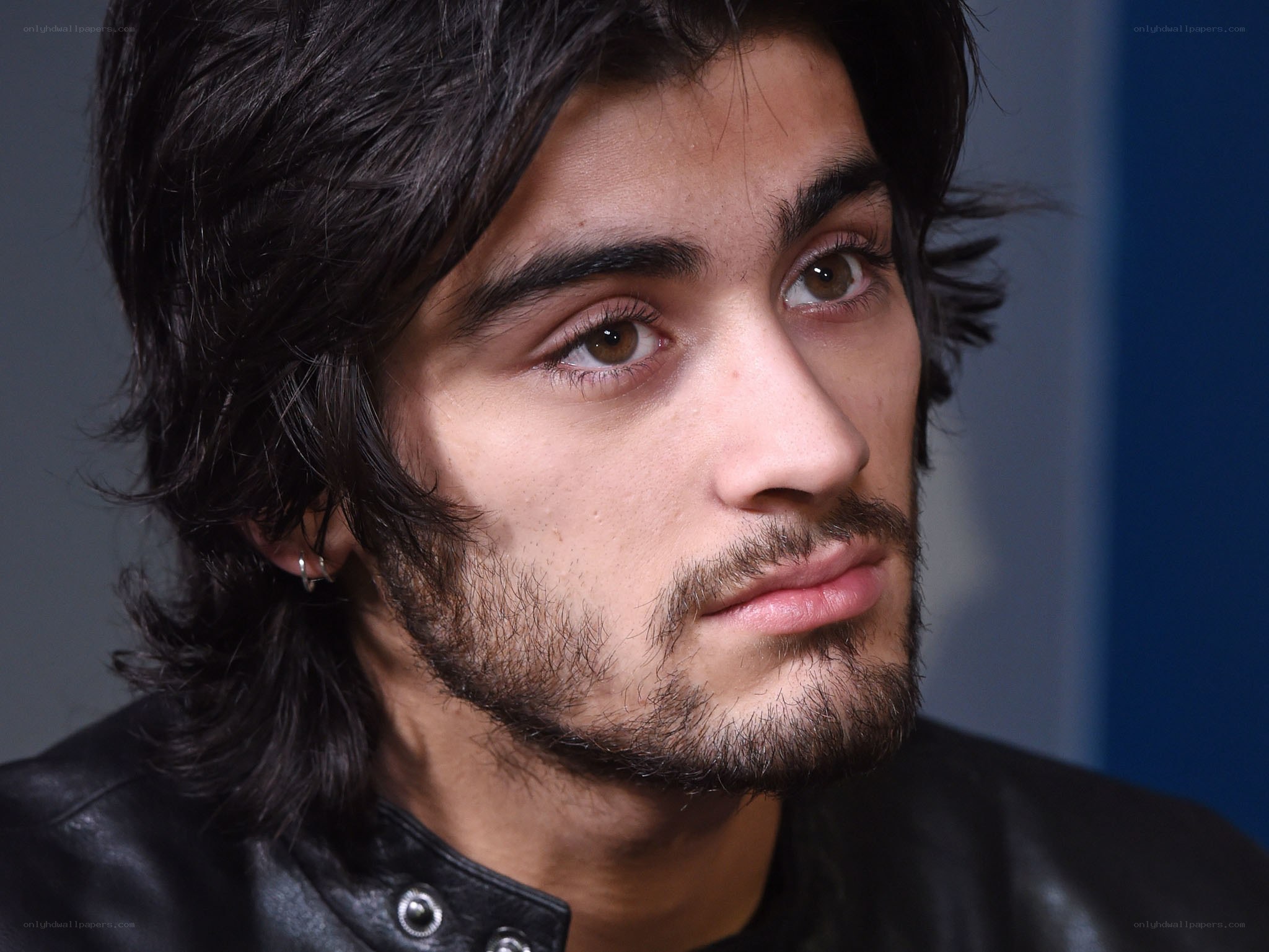 Zayn Malik portrait