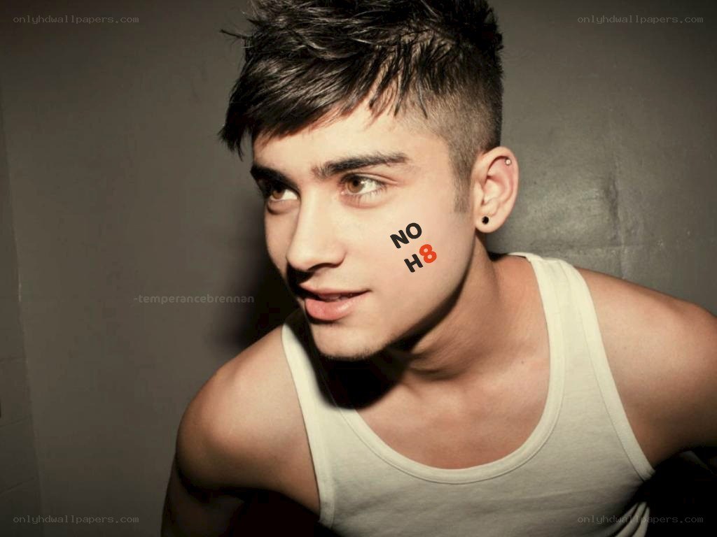 Zayn Malik portrait