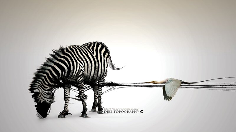 zebra and bird artwork