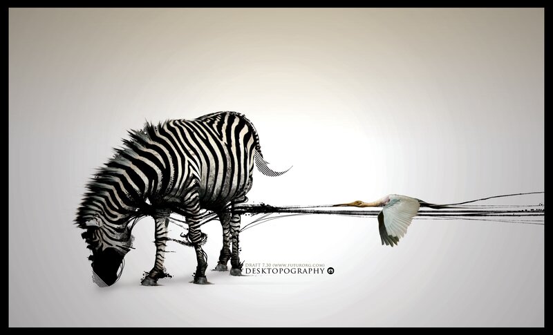 zebra and bird artwork