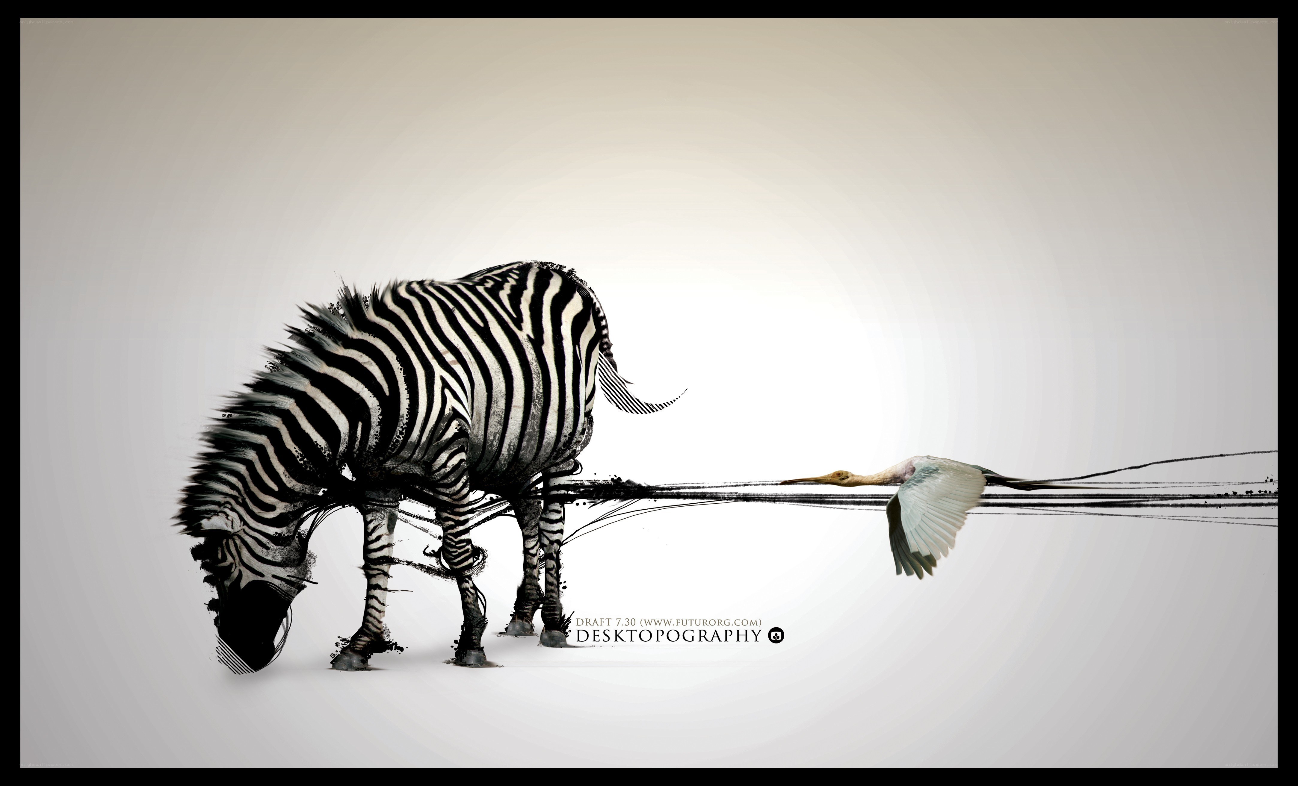 zebra and bird artwork