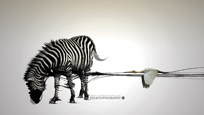 Zebra and Bird