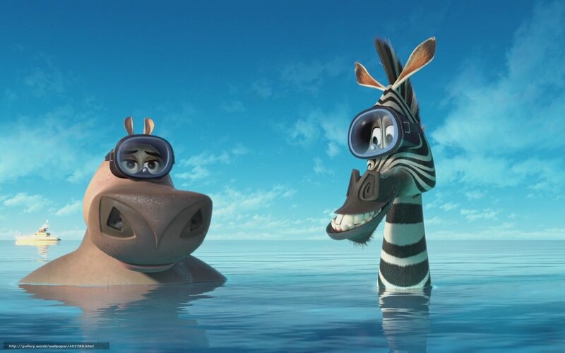zebra and hippo in water