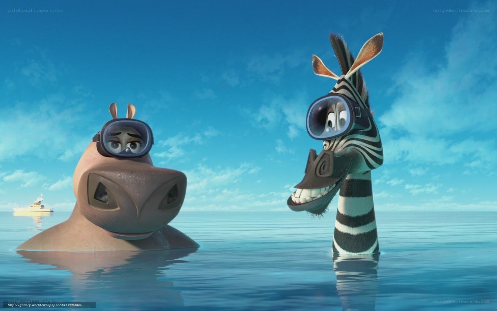 zebra and hippo in water