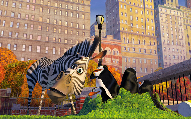 zebra and penguins in city park
