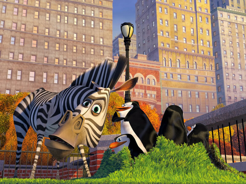 Zebra and Penguins