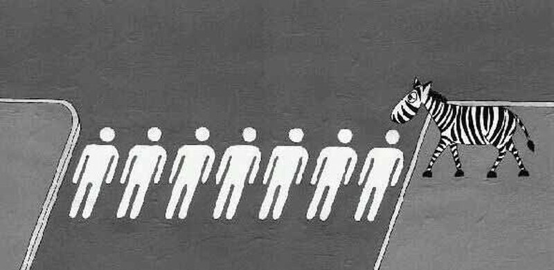 Zebra Crossing Road