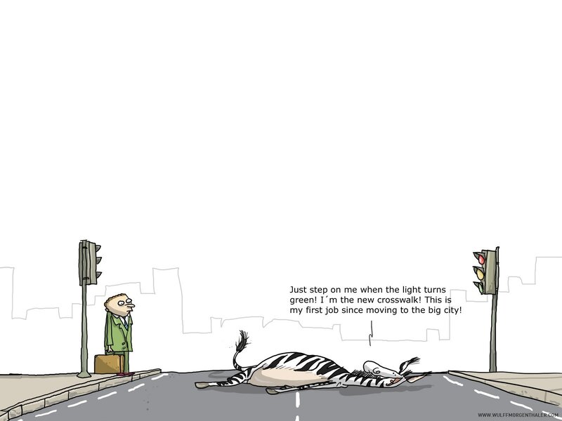 zebra crosswalk cartoon