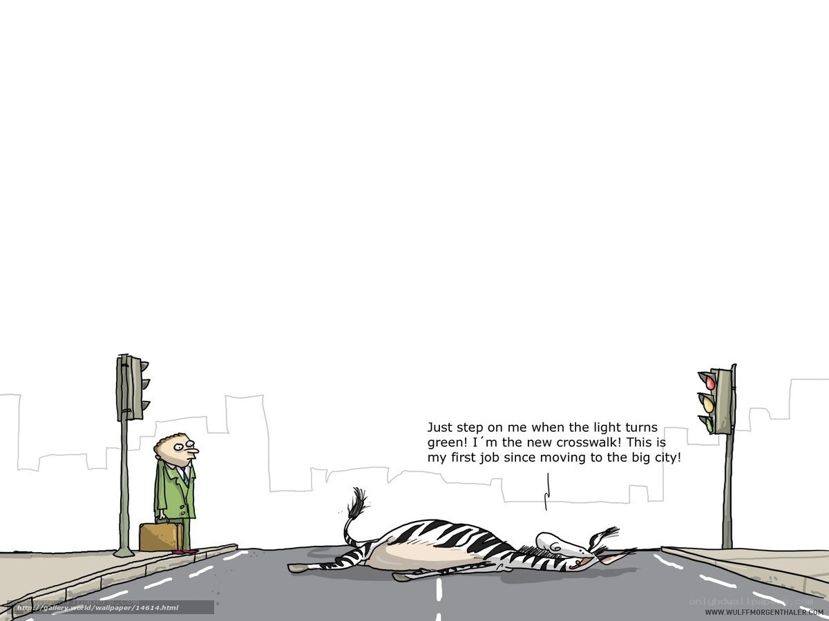 zebra crosswalk job