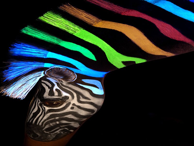 Zebra Face with Colorful Mane