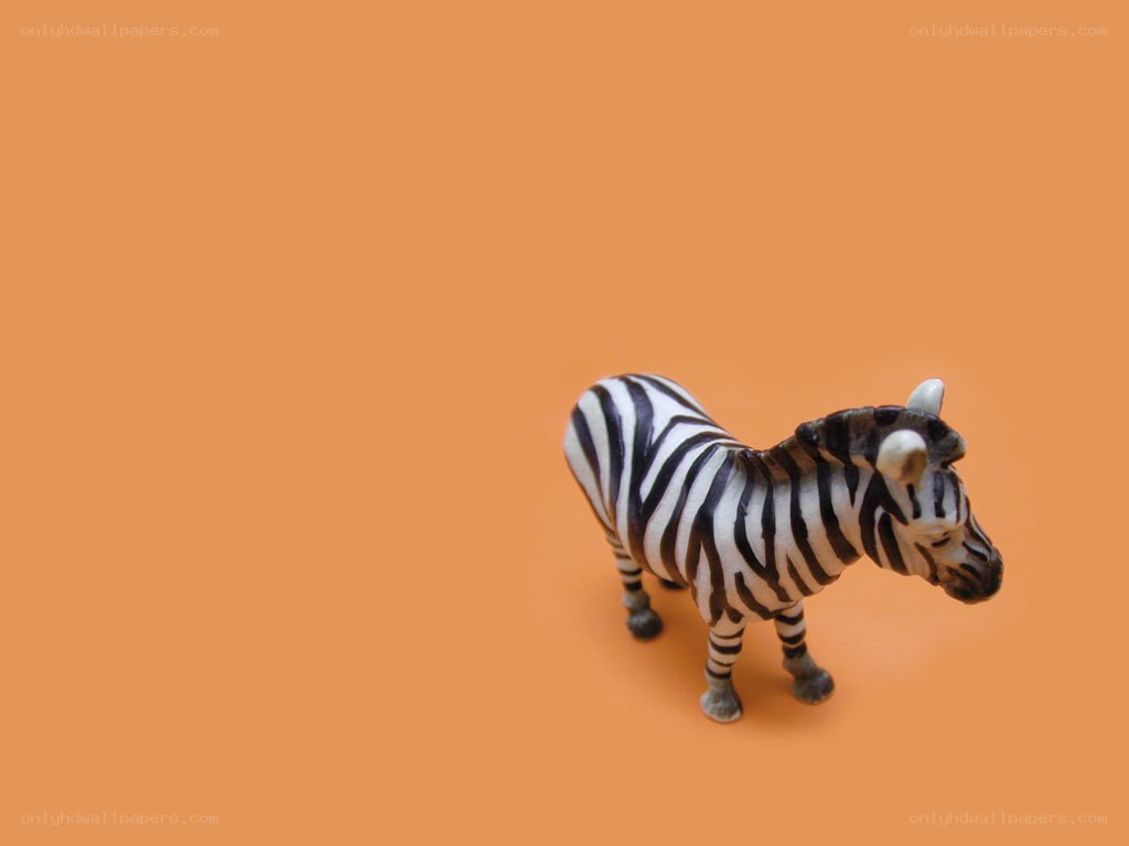 zebra figurine on orange