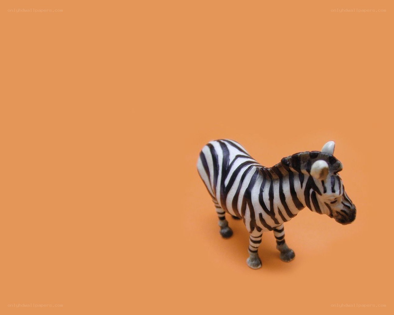 zebra figurine on orange