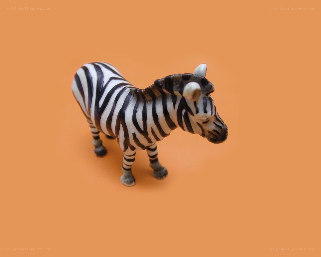 zebra figurine on orange