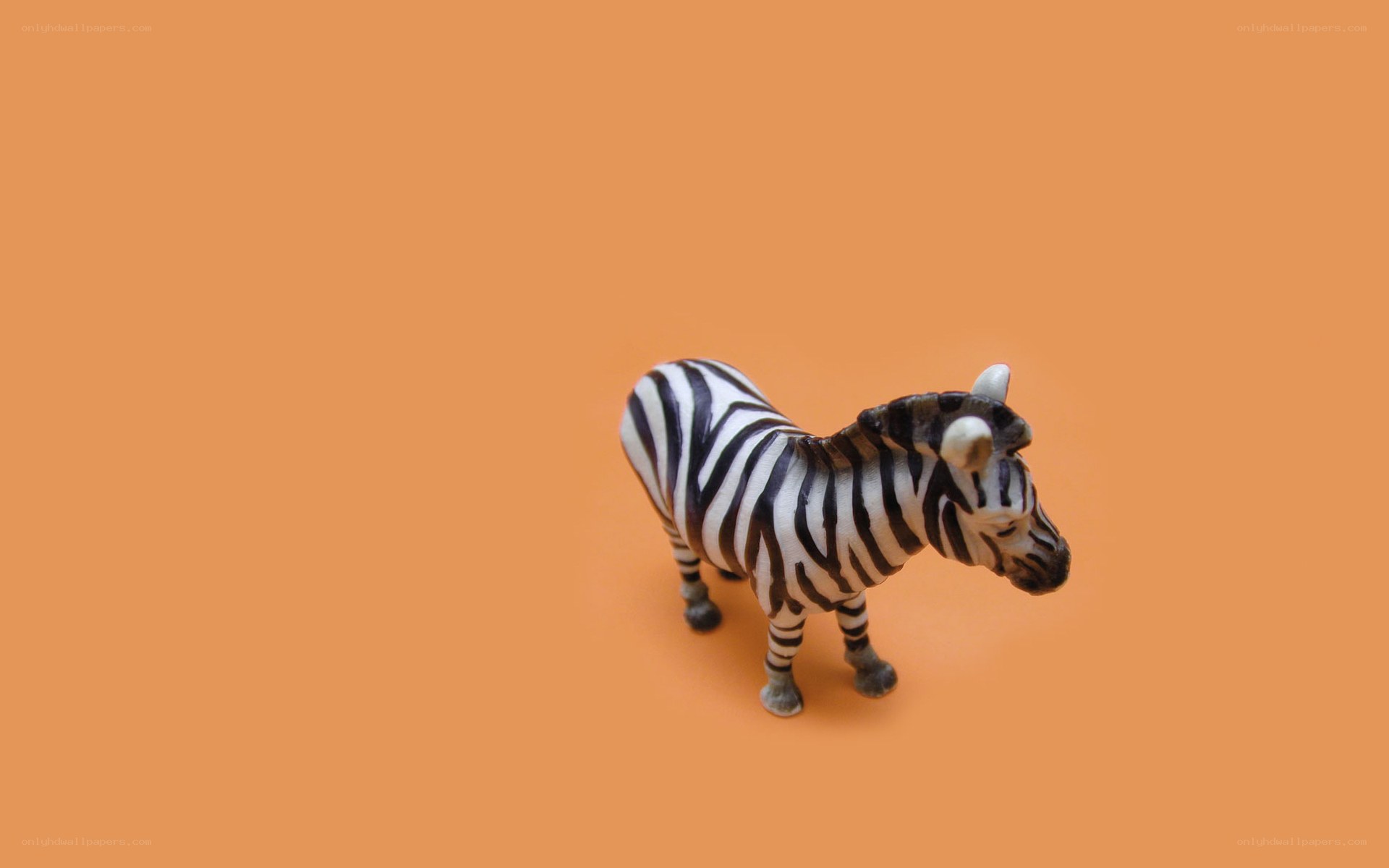 zebra figurine on orange