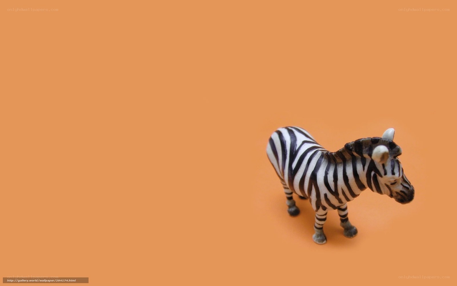 zebra figurine on orange