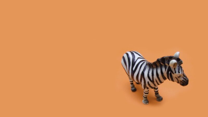 Zebra Figurine — Orange