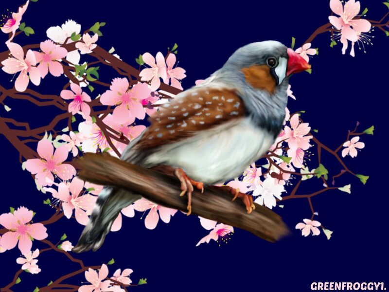 Zebra Finch on Branch — Blue