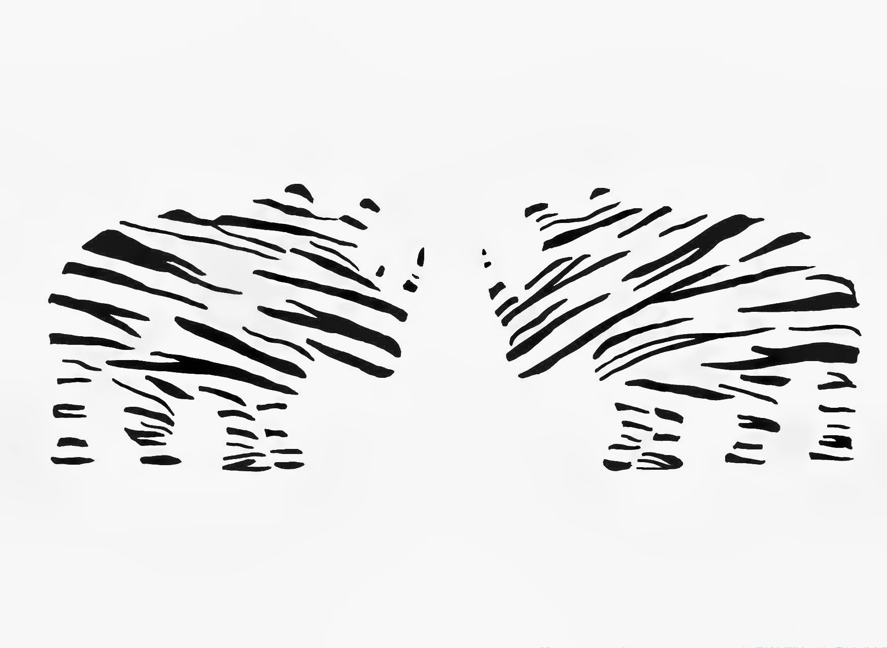 zebra footprints on sand