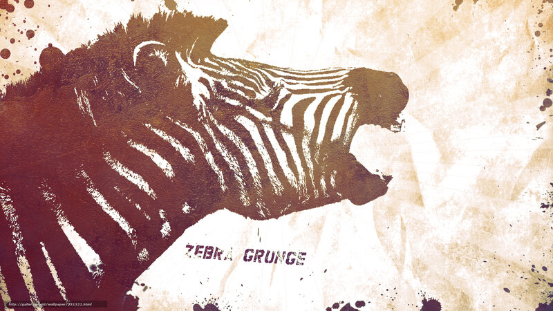zebra grunge art
