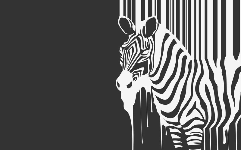 Zebra Head and Neck
