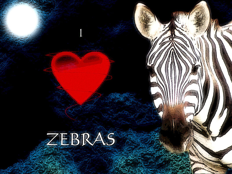 Zebra Head — Black