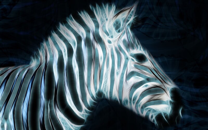 Zebra Head — Blue