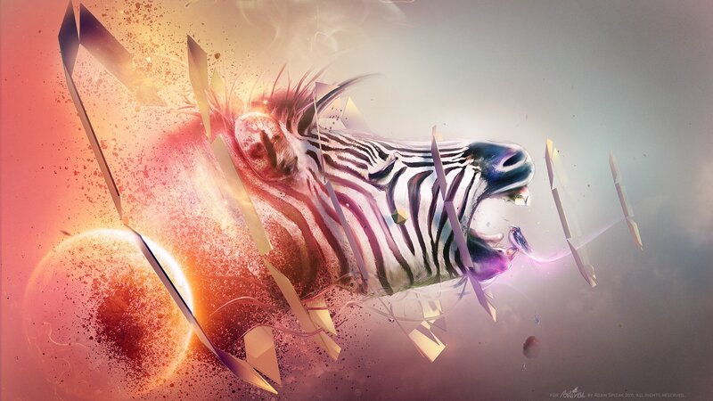Zebra Head Explosion