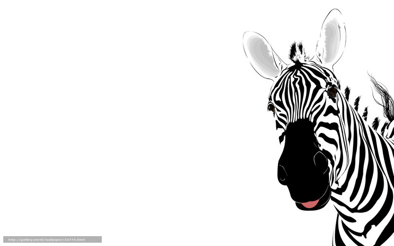 zebra head illustration