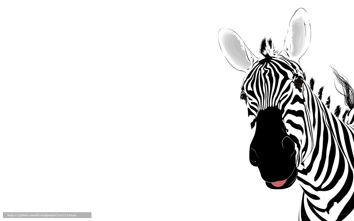 zebra head illustration