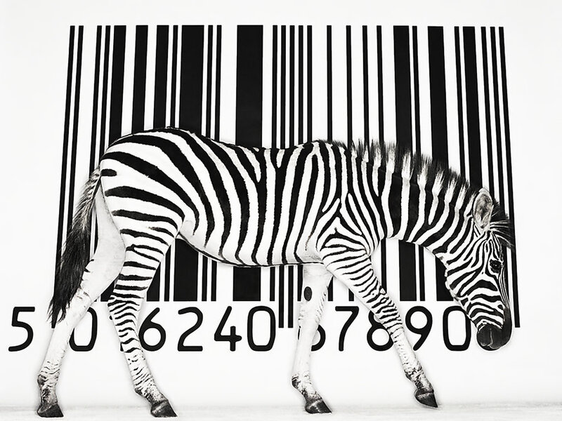 Zebra in Barcode — Black, Minimalist